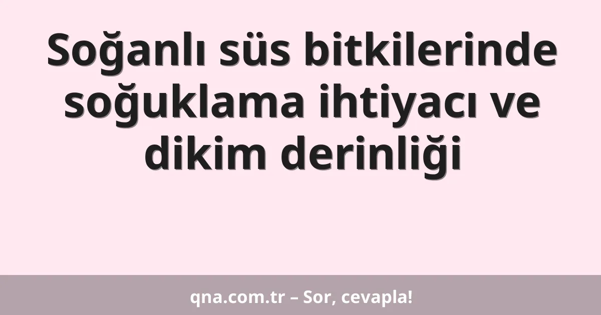 Soğanlı süs bitkilerinde soğuklama ihtiyacı ve dikim derinliği