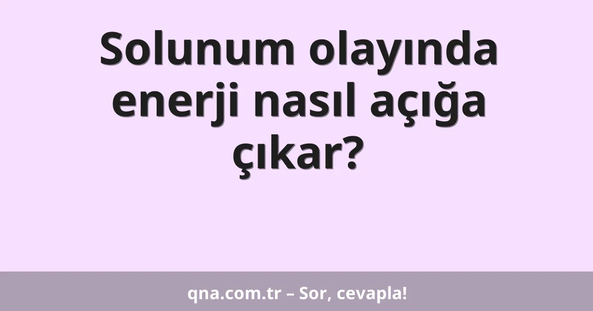 Solunum olayında enerji nasıl açığa çıkar?