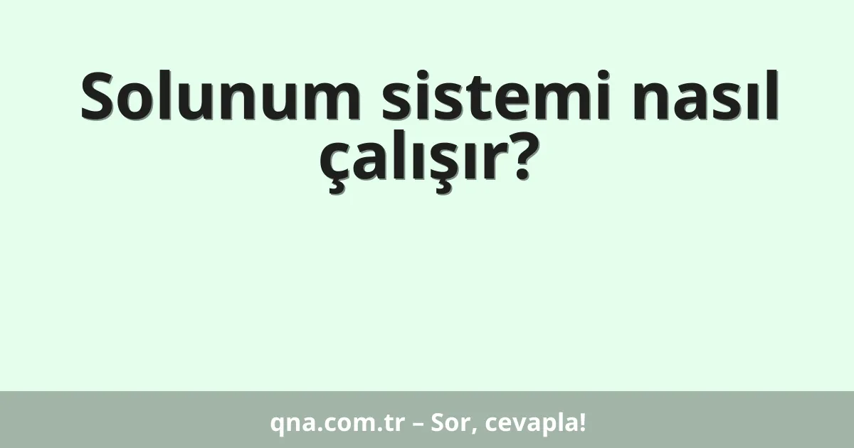 Solunum sistemi nasıl çalışır?