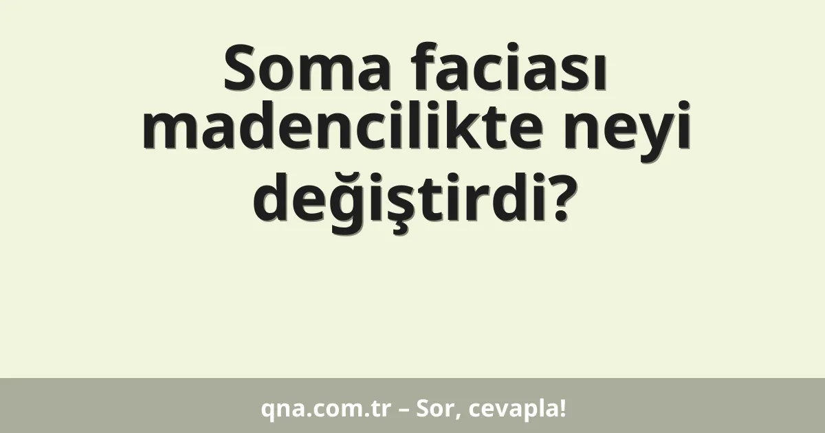 Soma faciası madencilikte neyi değiştirdi?