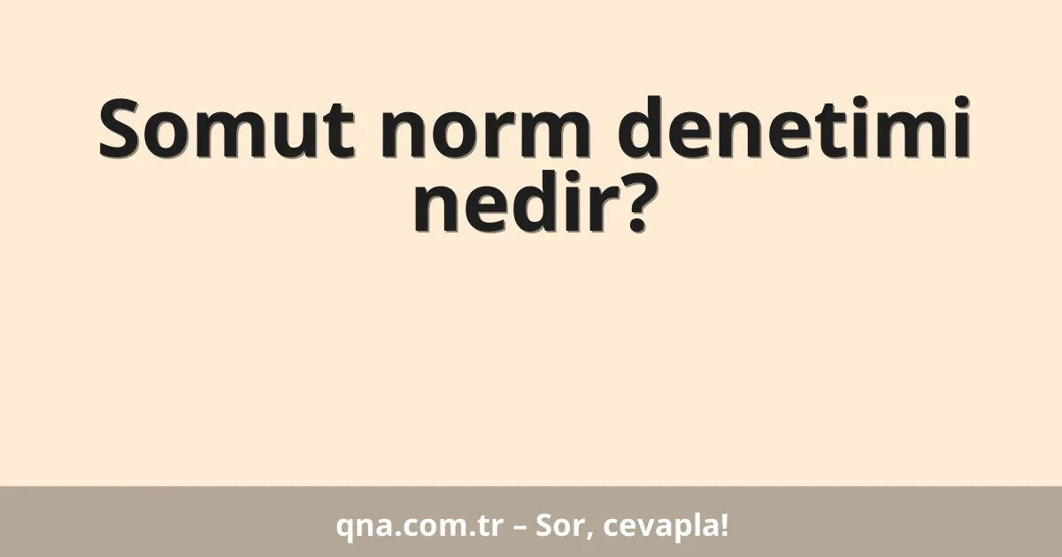 Somut norm denetimi nedir?
