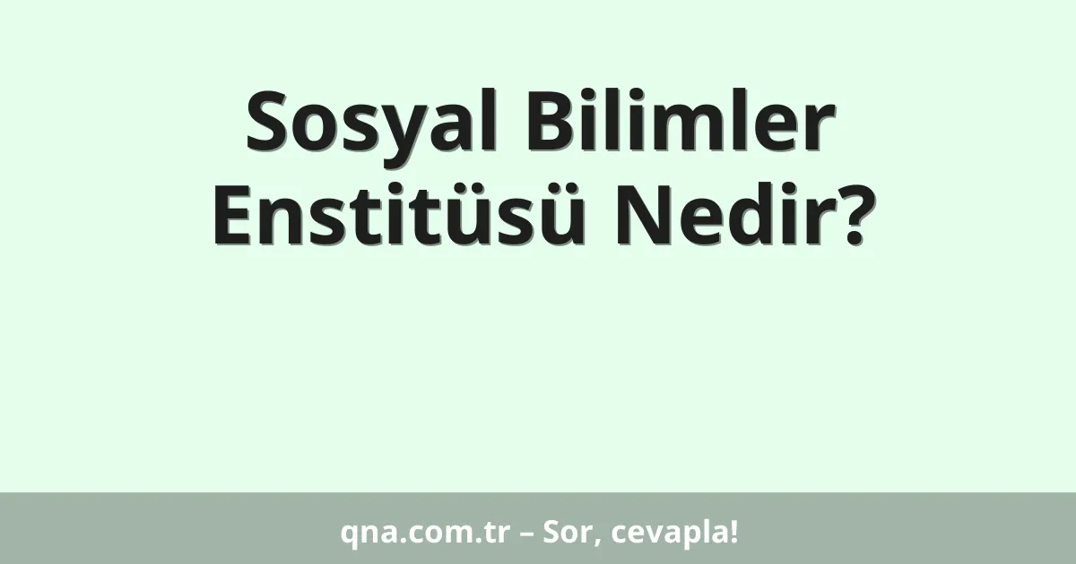 Sosyal Bilimler Enstitüsü Nedir?