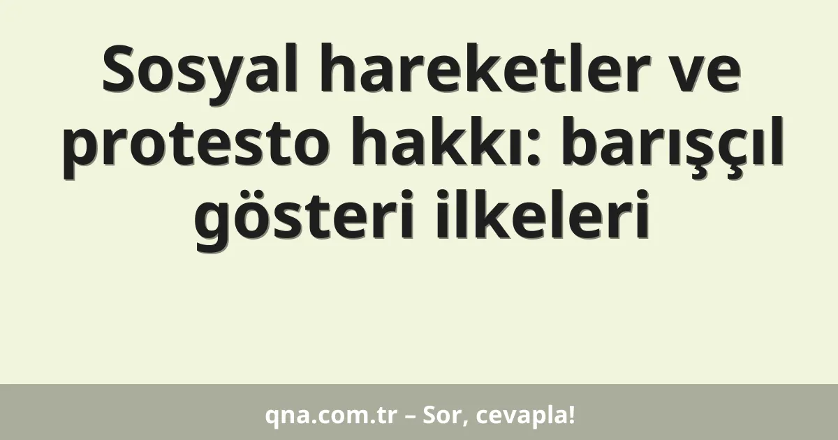 Sosyal hareketler ve protesto hakkı: barışçıl gösteri ilkeleri