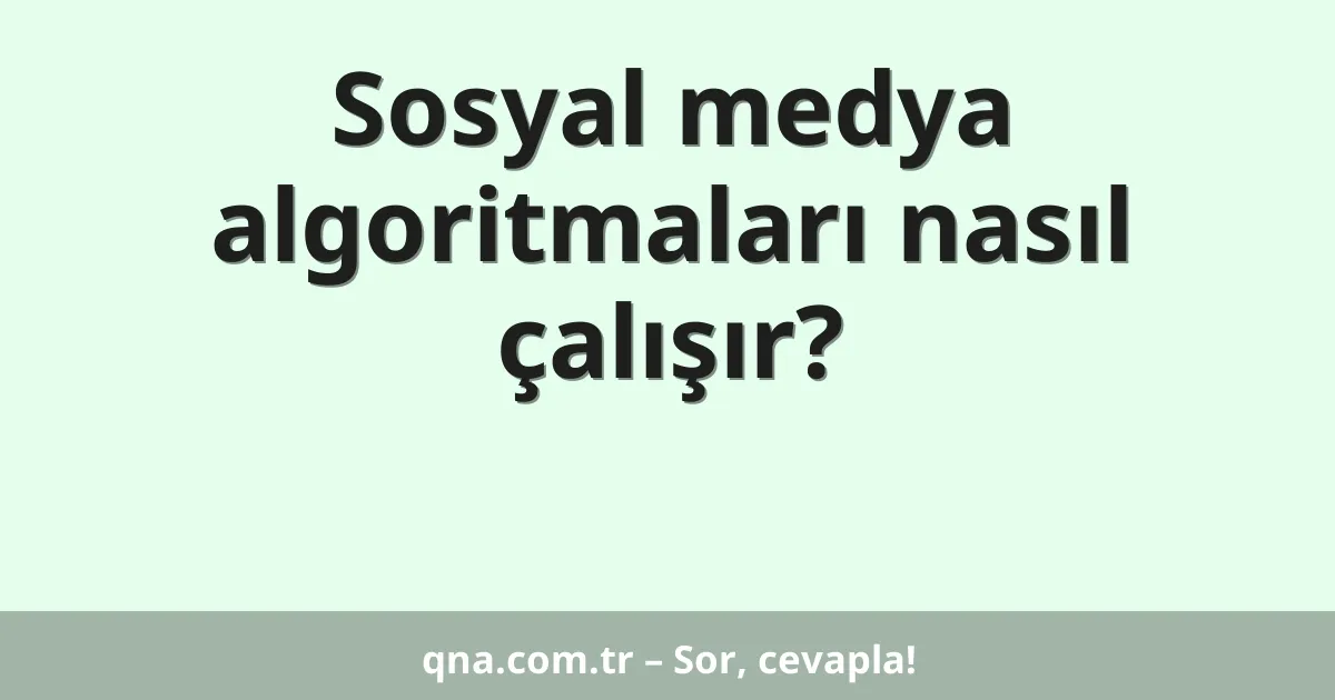 Sosyal medya algoritmaları nasıl çalışır?