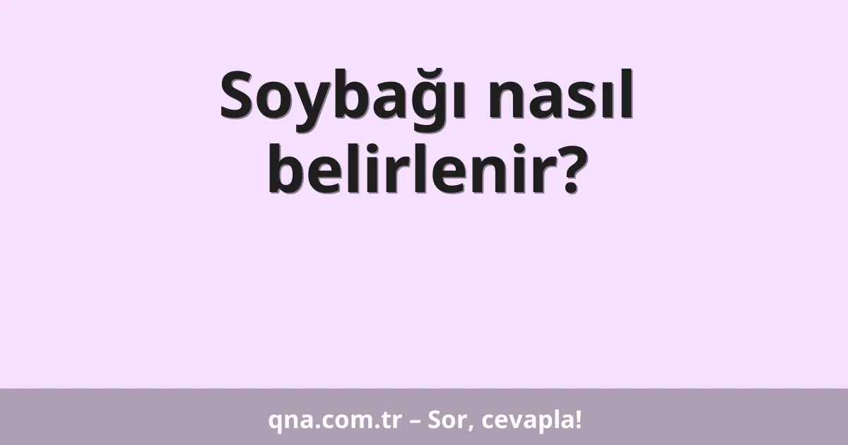 Soybağı nasıl belirlenir?