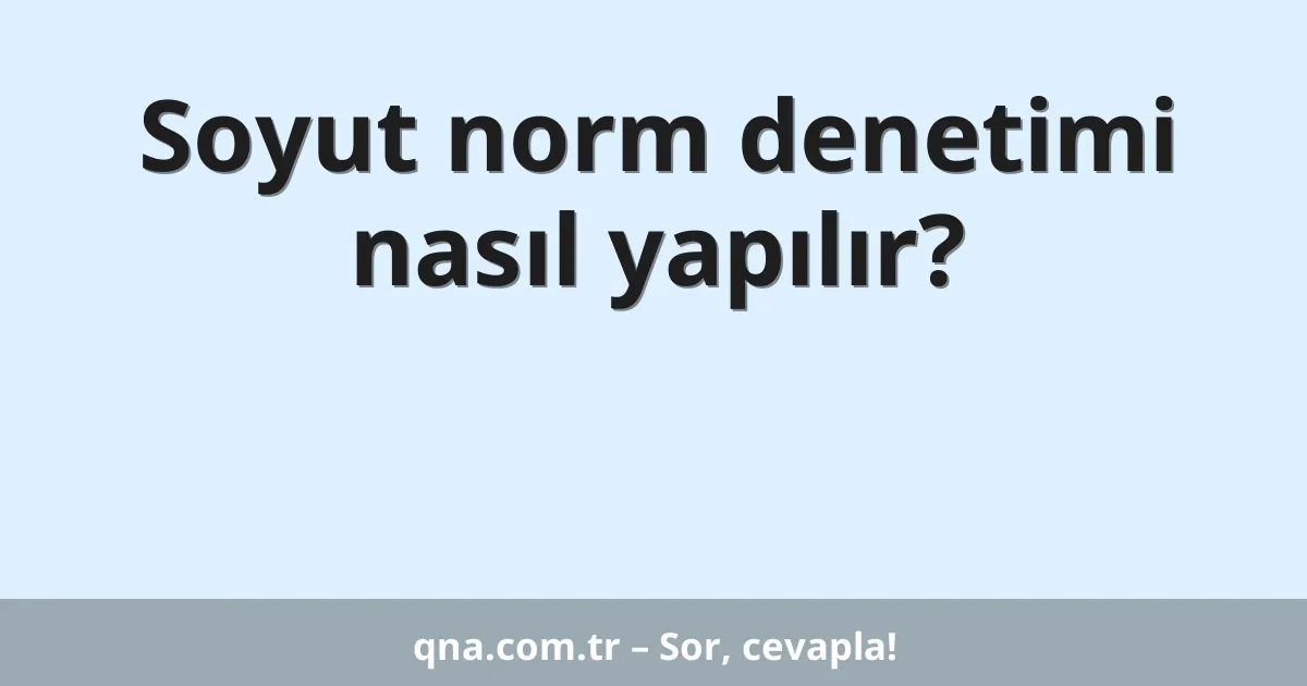 Soyut norm denetimi nasıl yapılır?