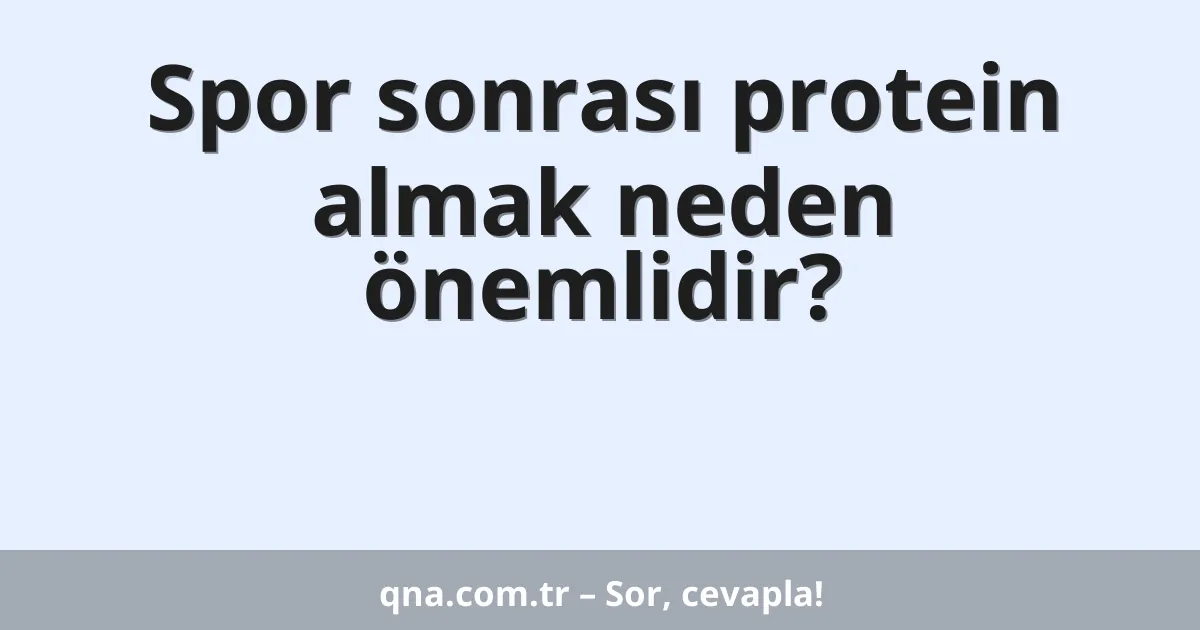 Spor sonrası protein almak neden önemlidir?
