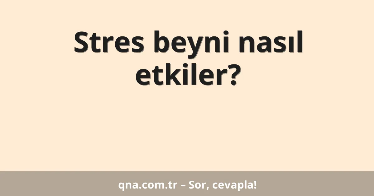 Stres beyni nasıl etkiler?
