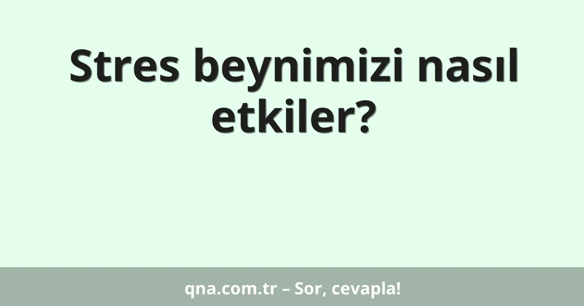 Stres beynimizi nasıl etkiler?
