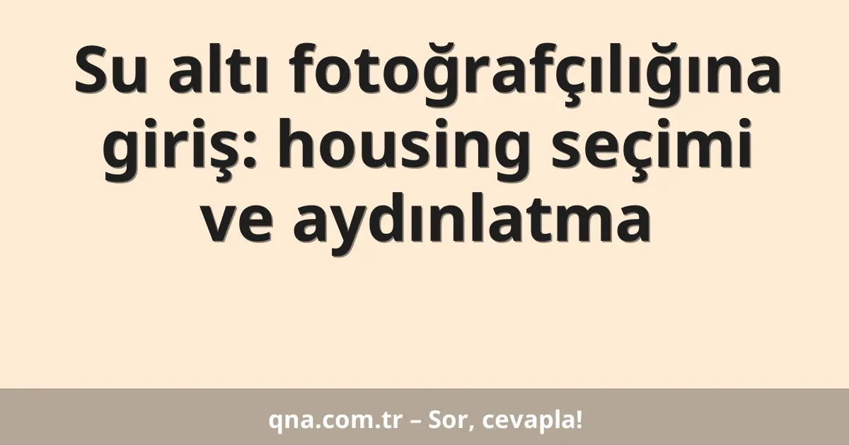 Su altı fotoğrafçılığına giriş: housing seçimi ve aydınlatma