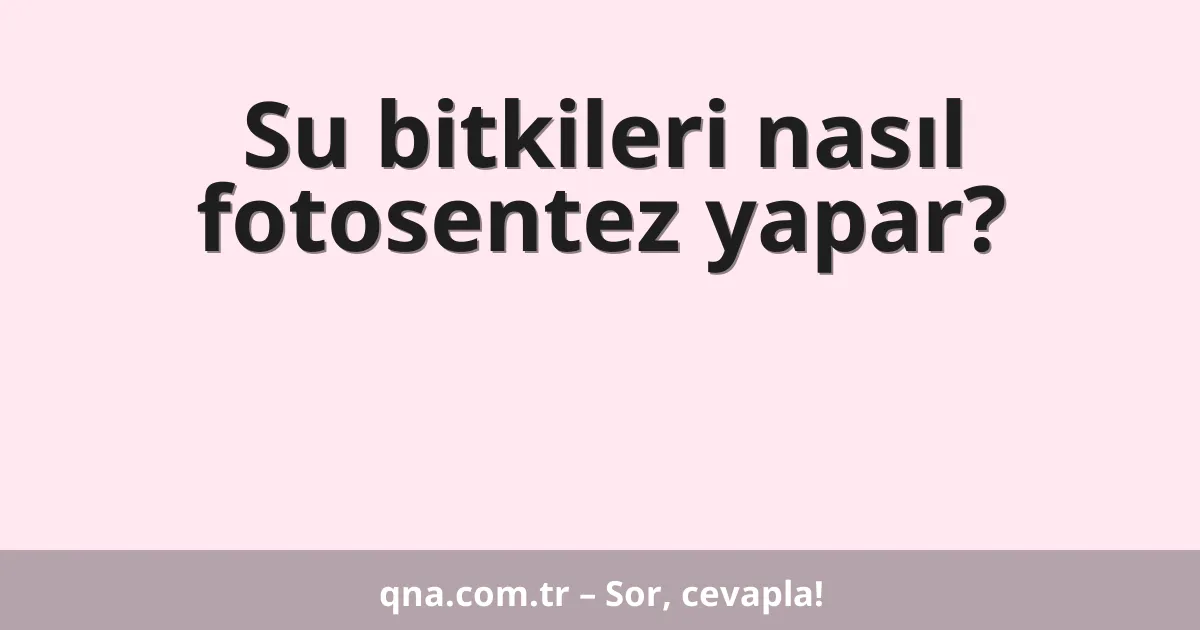 Su bitkileri nasıl fotosentez yapar?