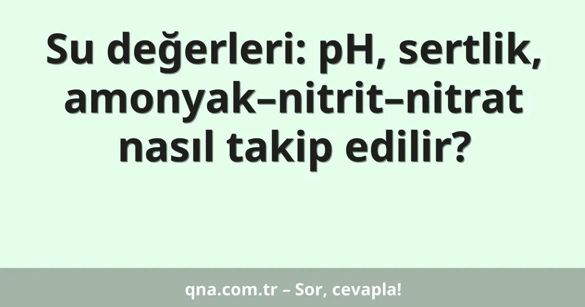 Su değerleri: pH, sertlik, amonyak–nitrit–nitrat nasıl takip edilir?
