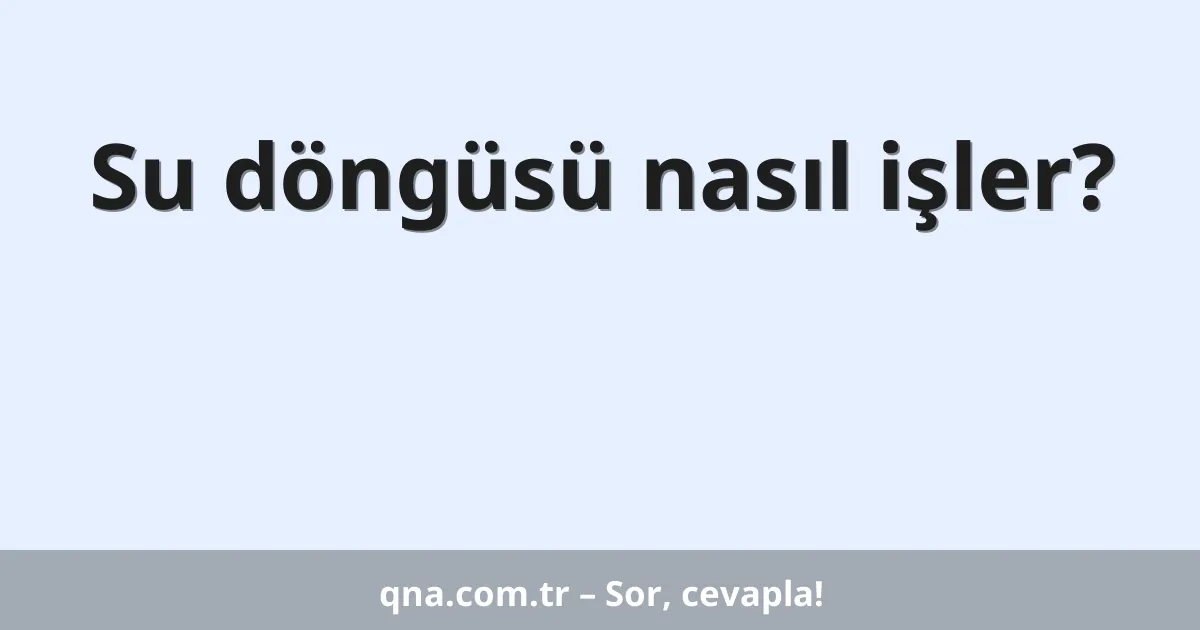 Su döngüsü nasıl işler?