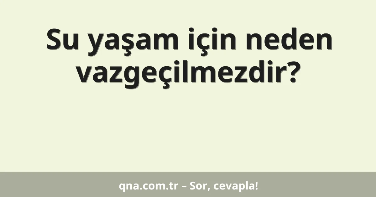 Su yaşam için neden vazgeçilmezdir?