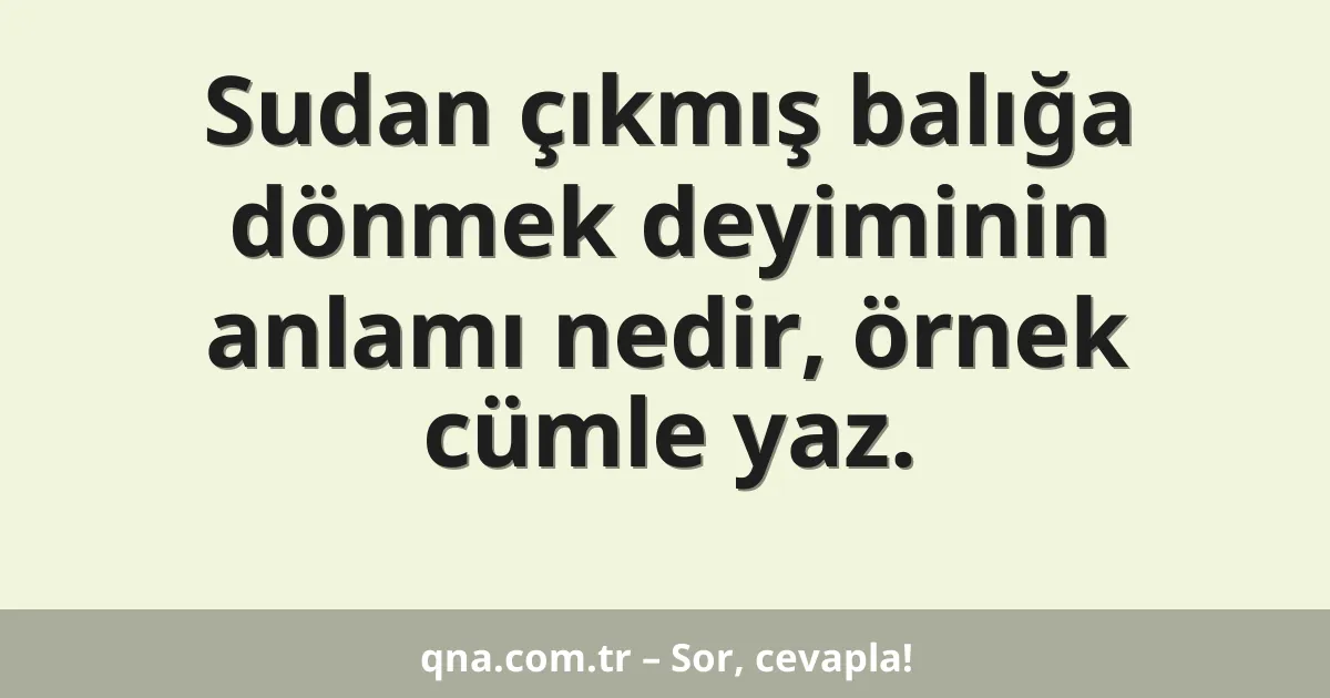 Sudan çıkmış balığa dönmek deyiminin anlamı nedir, örnek cümle yaz.