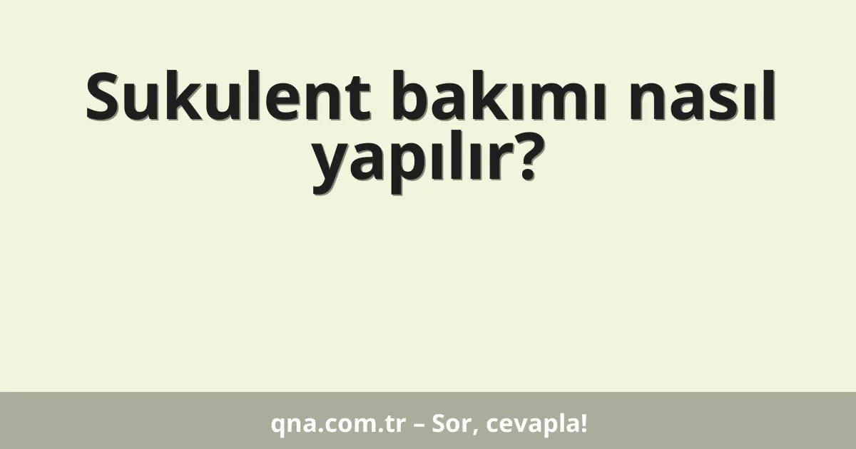 Sukulent bakımı nasıl yapılır?