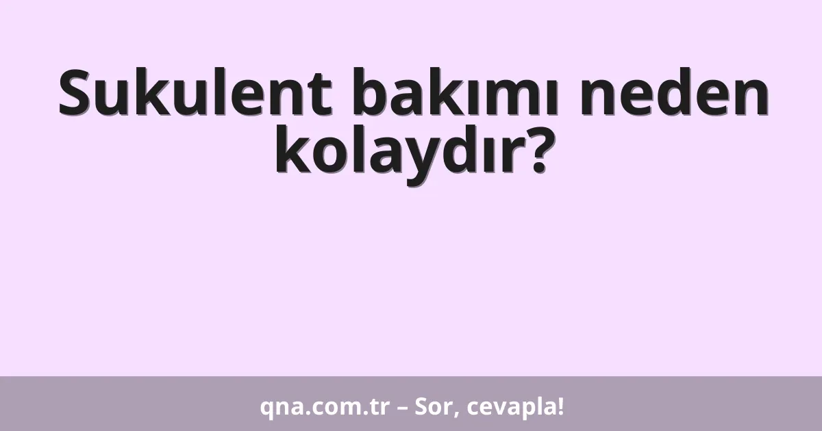 Sukulent bakımı neden kolaydır?