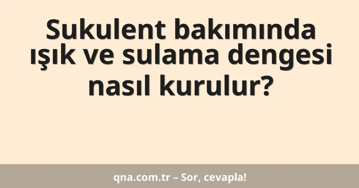 Sukulent bakımında ışık ve sulama dengesi nasıl kurulur?