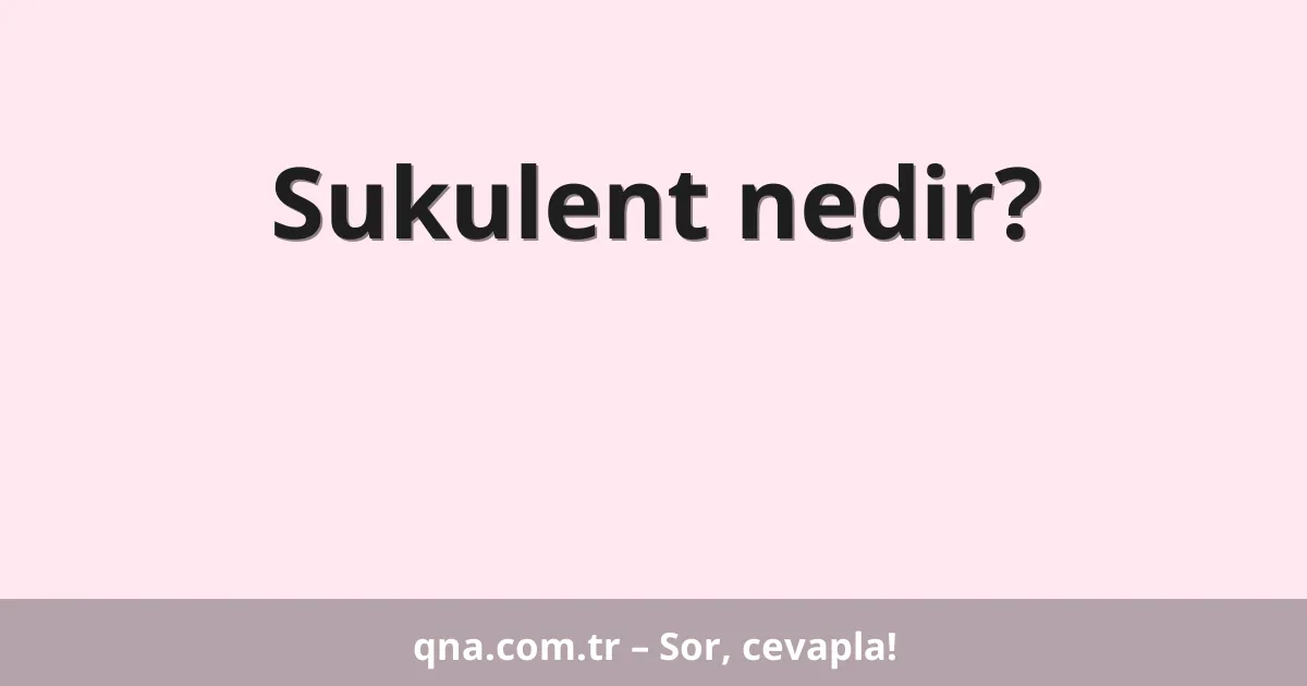 Sukulent nedir?