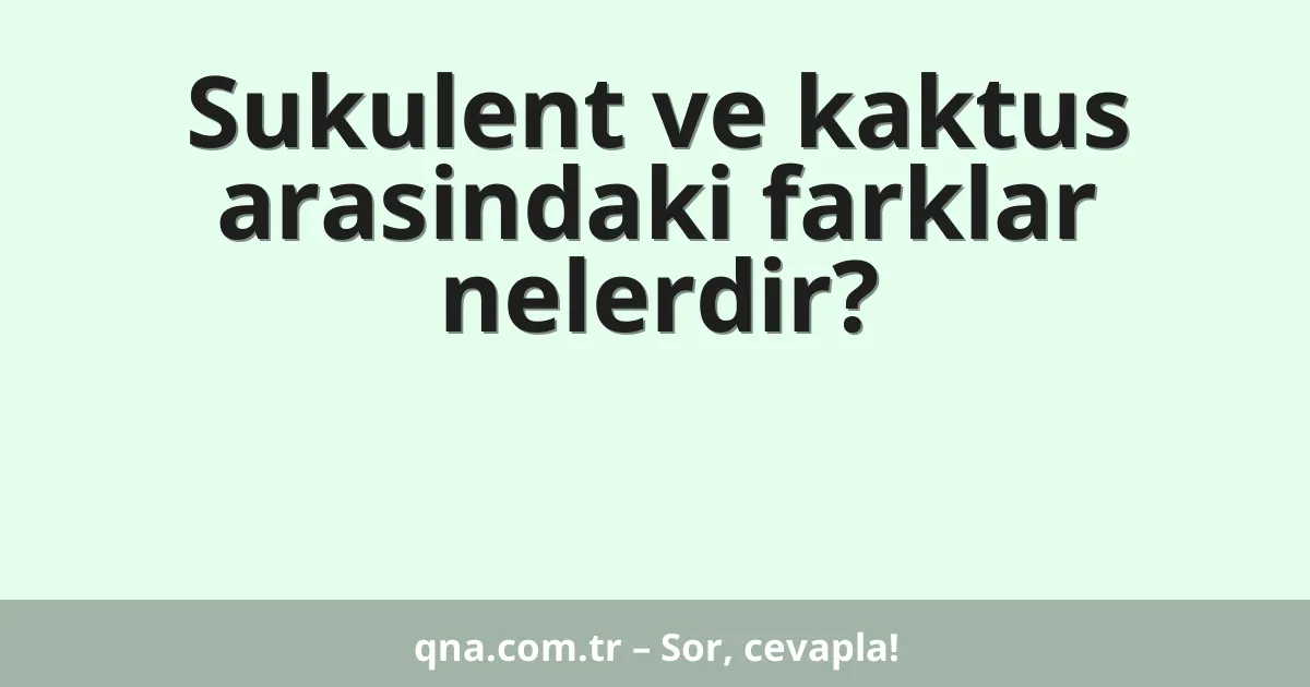 Sukulent ve kaktus arasindaki farklar nelerdir?