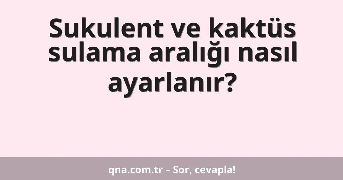 Sukulent ve kaktüs sulama aralığı nasıl ayarlanır?