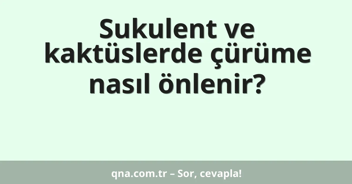 Sukulent ve kaktüslerde çürüme nasıl önlenir?