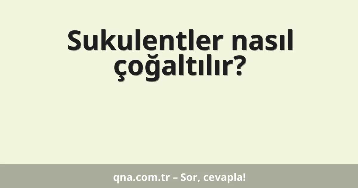 Sukulentler nasıl çoğaltılır?