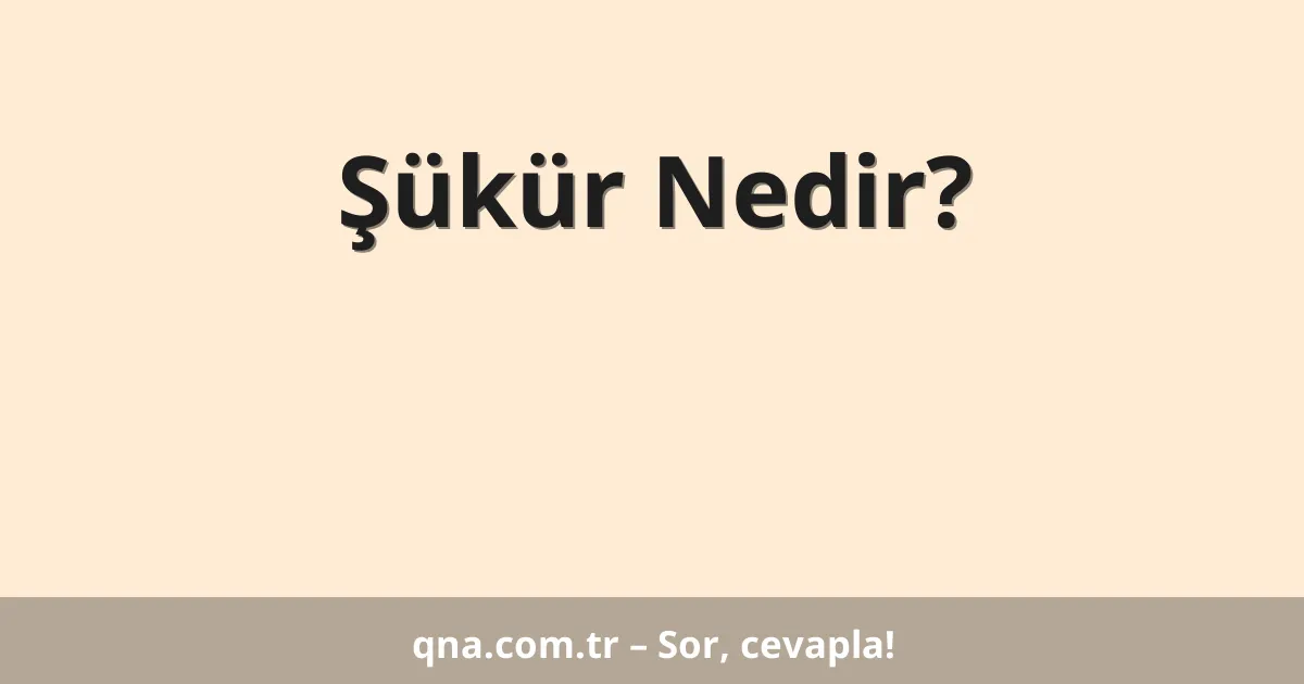 Şükür Nedir?