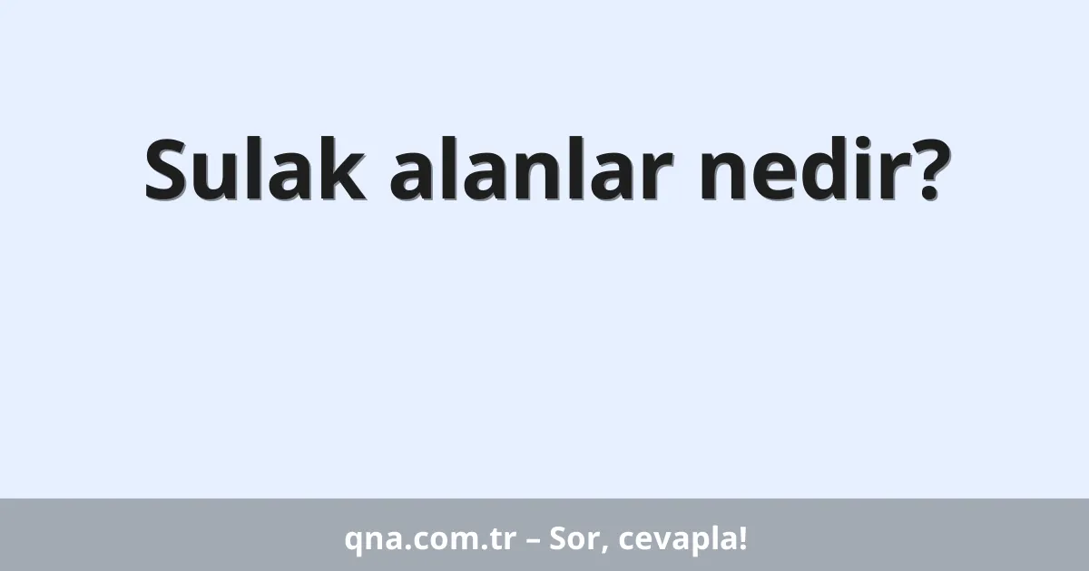 Sulak alanlar nedir?