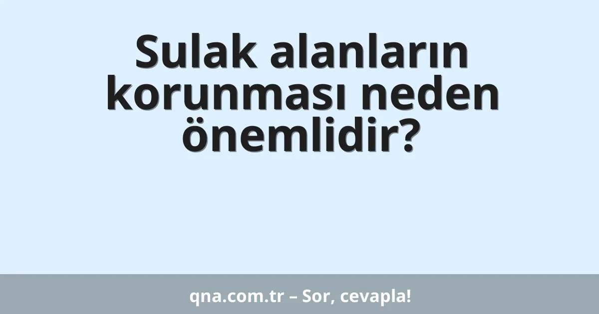 Sulak alanların korunması neden önemlidir?