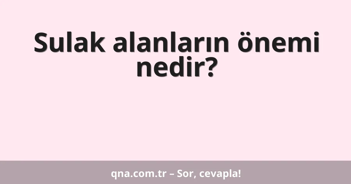 Sulak alanların önemi nedir?