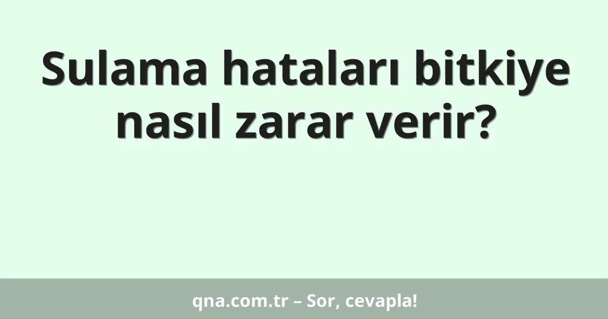 Sulama hataları bitkiye nasıl zarar verir?