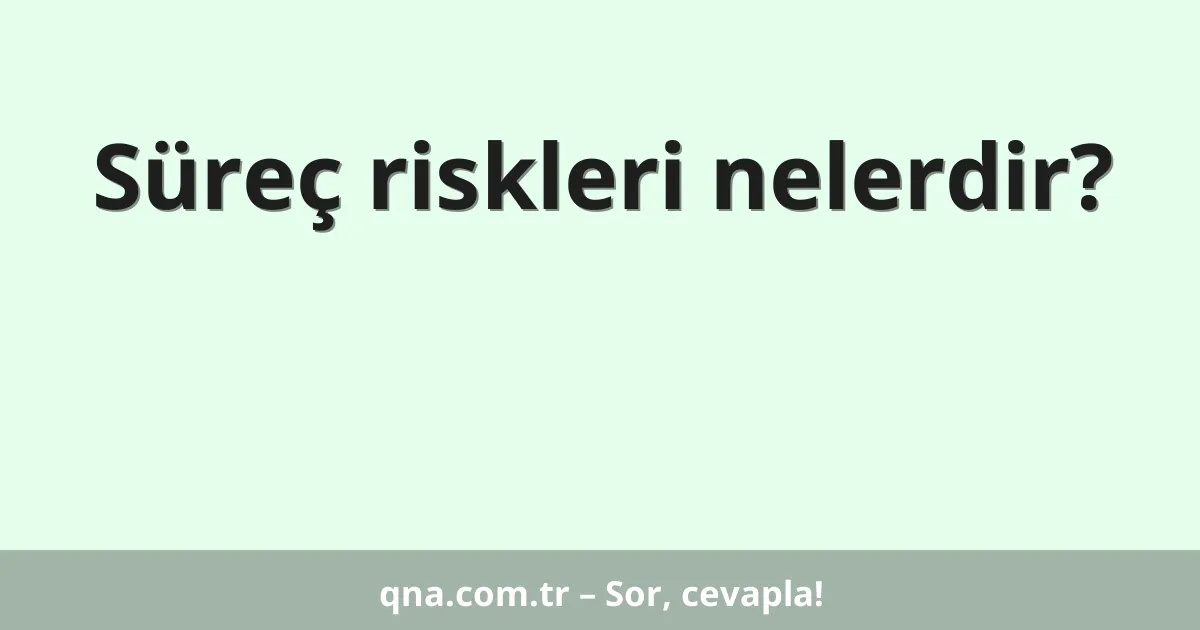 Süreç riskleri nelerdir?