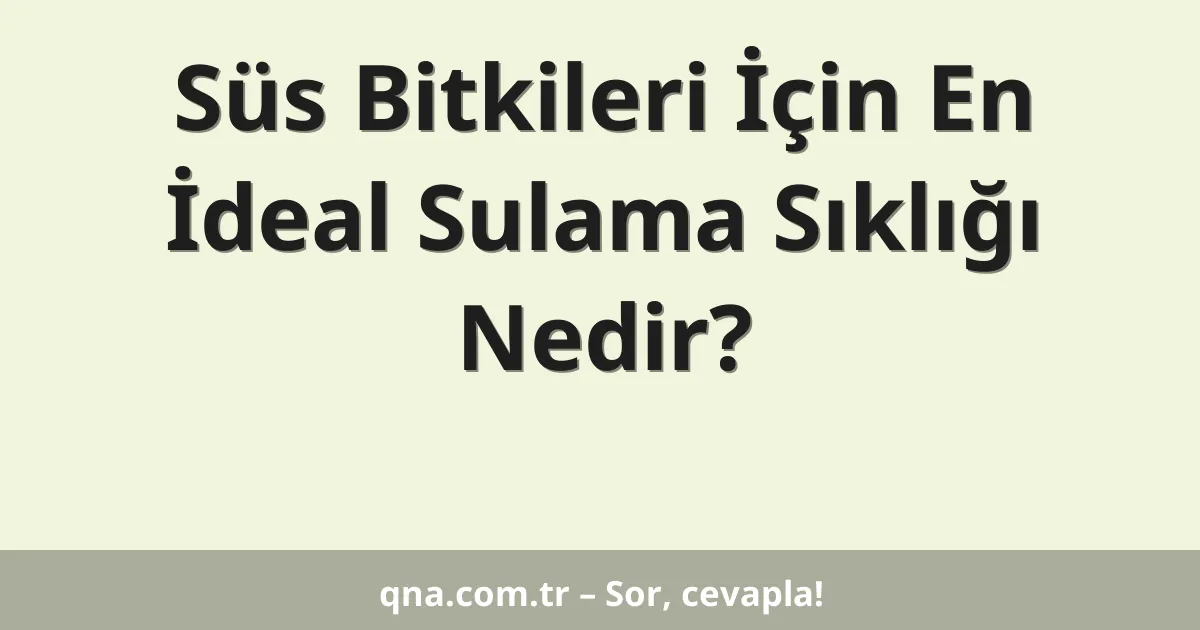 Süs Bitkileri İçin En İdeal Sulama Sıklığı Nedir?