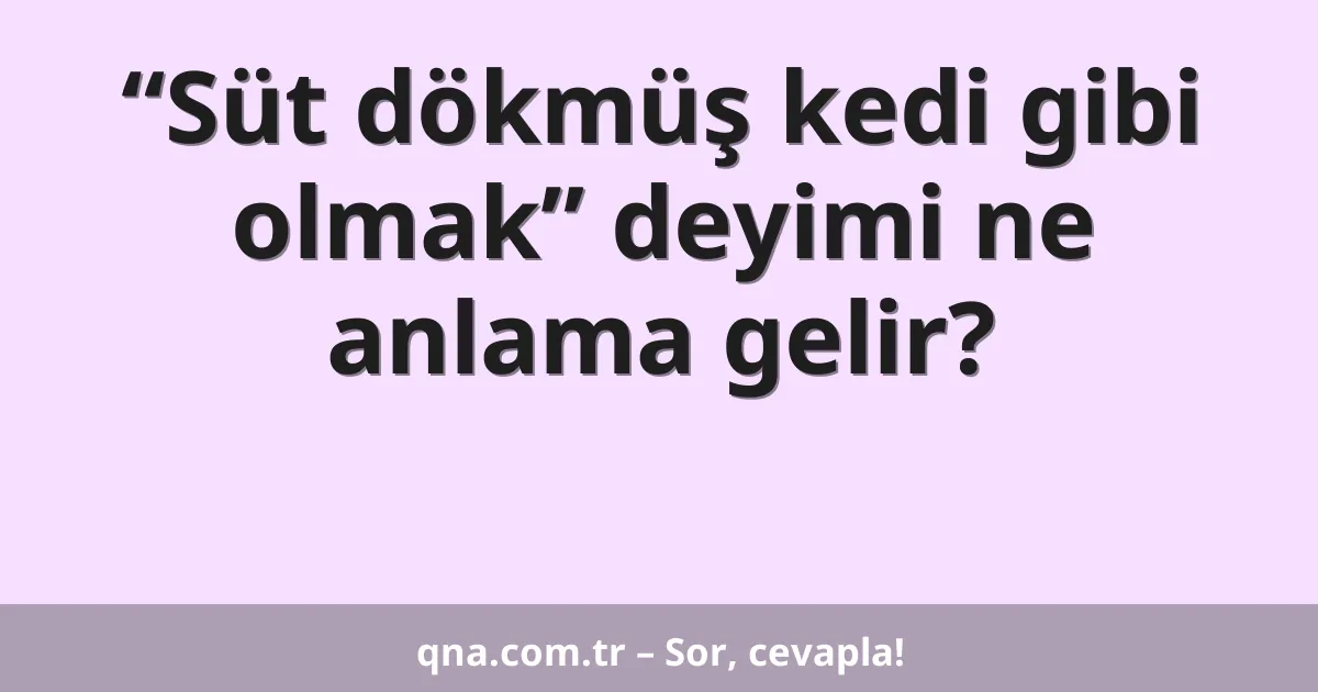 “Süt dökmüş kedi gibi olmak” deyimi ne anlama gelir?