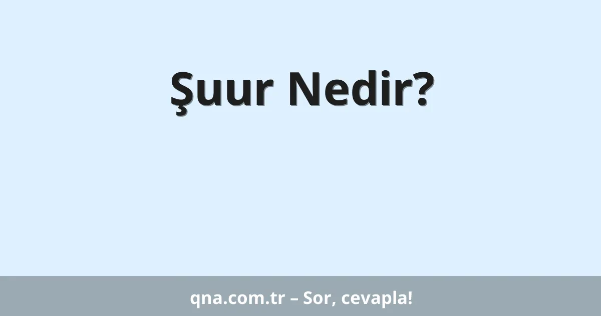 Şuur Nedir?