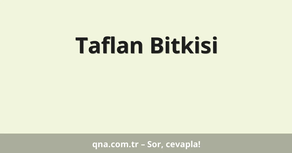 Taflan Bitkisi