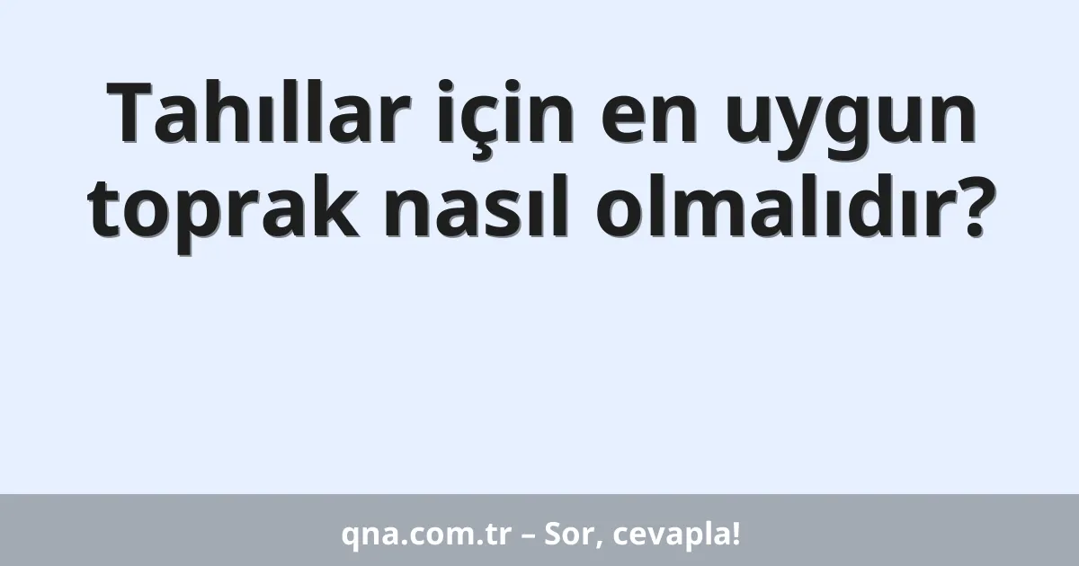 Tahıllar için en uygun toprak nasıl olmalıdır?