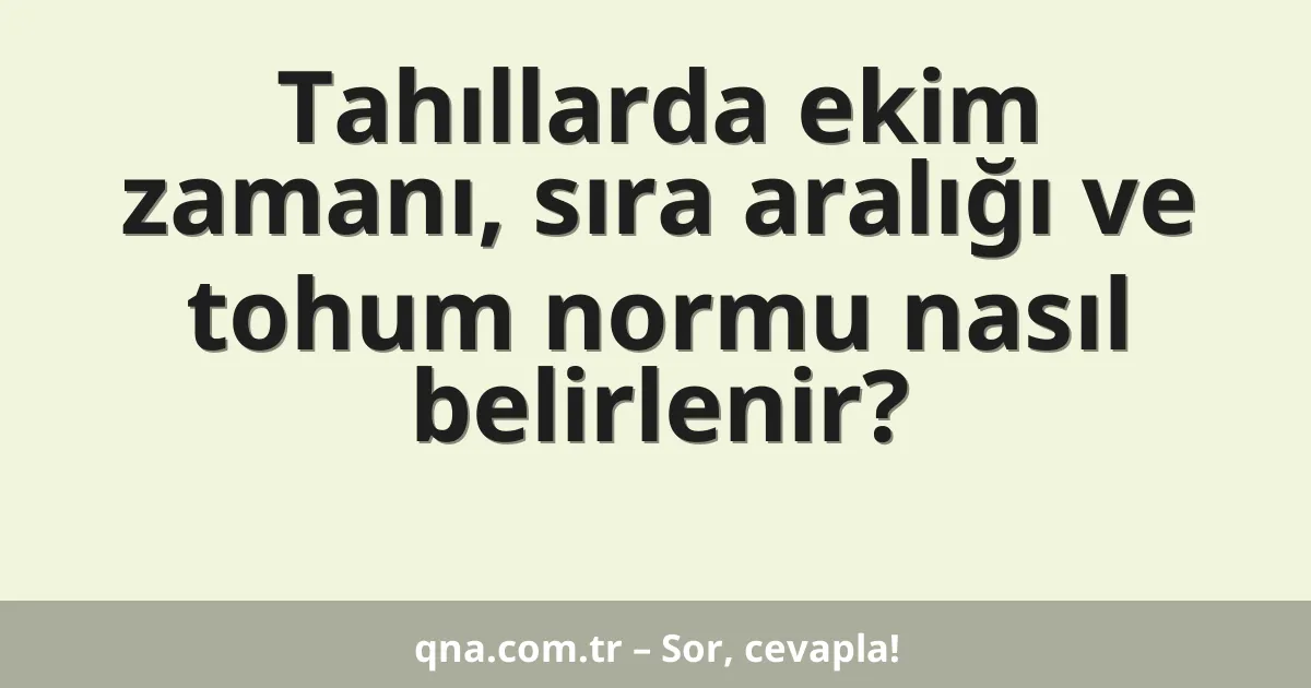 Tahıllarda ekim zamanı, sıra aralığı ve tohum normu nasıl belirlenir?