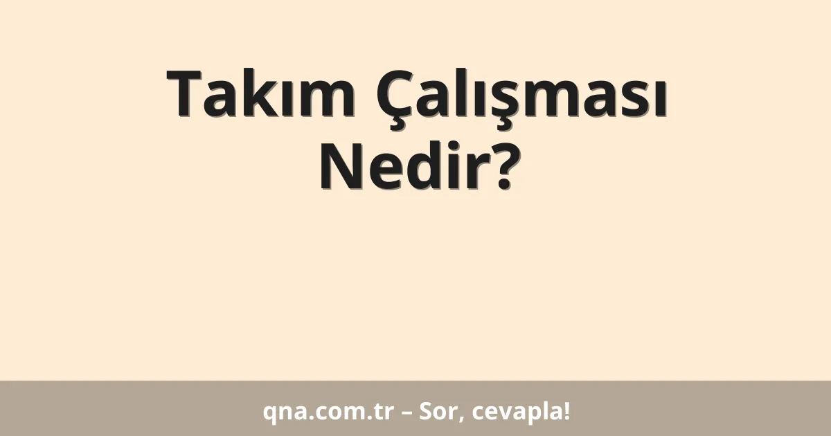 Takım Çalışması Nedir?