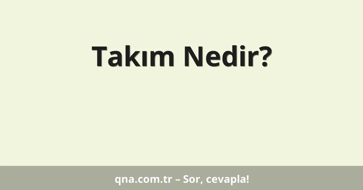 Takım Nedir?