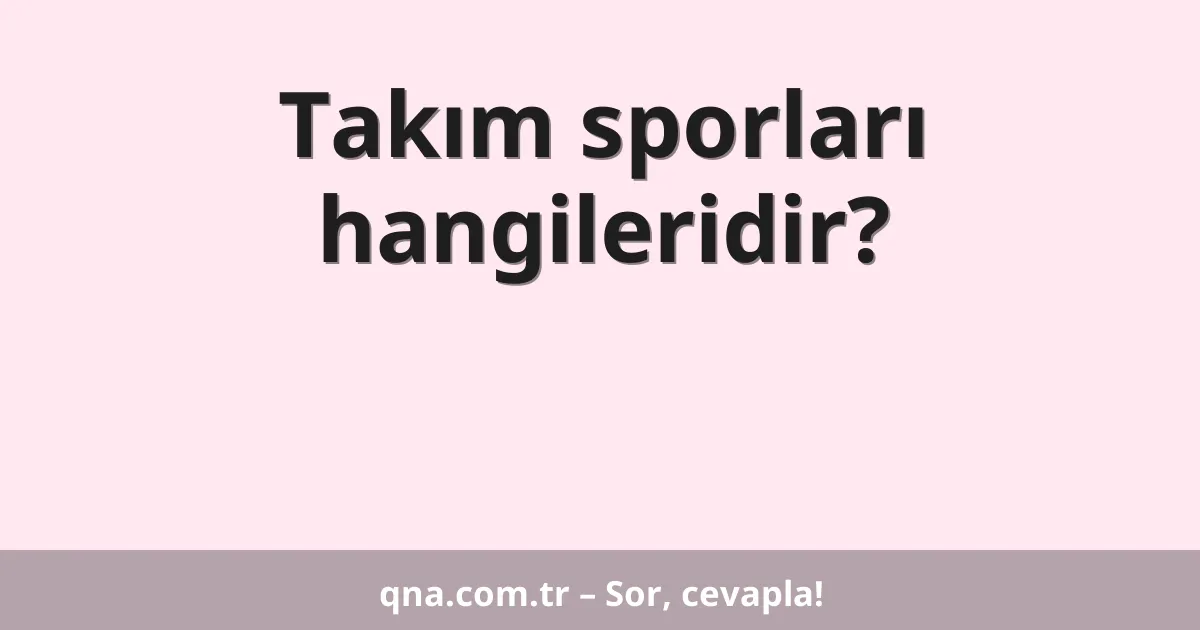 Takım sporları hangileridir?