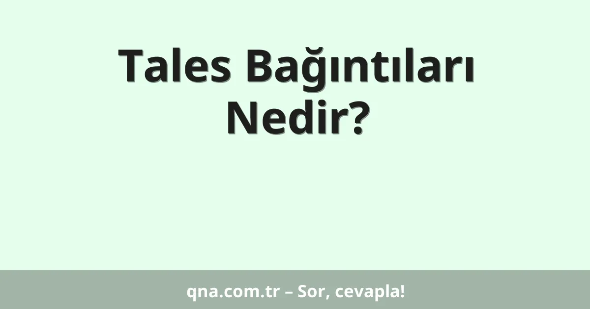 Tales Bağıntıları  Nedir?