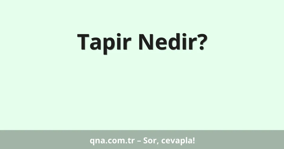Tapir Nedir?