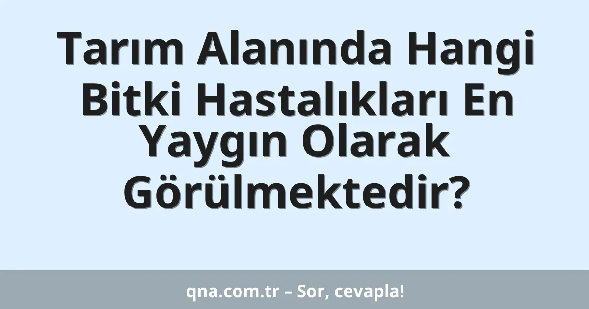 Tarım Alanında Hangi Bitki Hastalıkları En Yaygın Olarak Görülmektedir?