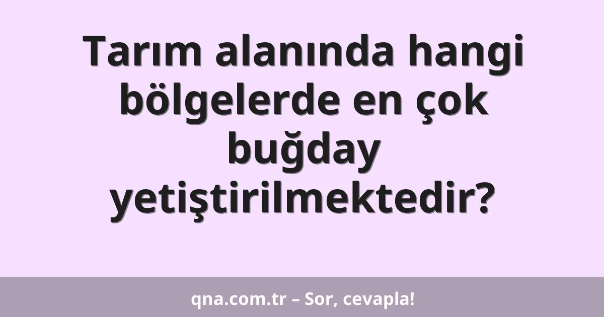 Tarım alanında hangi bölgelerde en çok buğday yetiştirilmektedir?