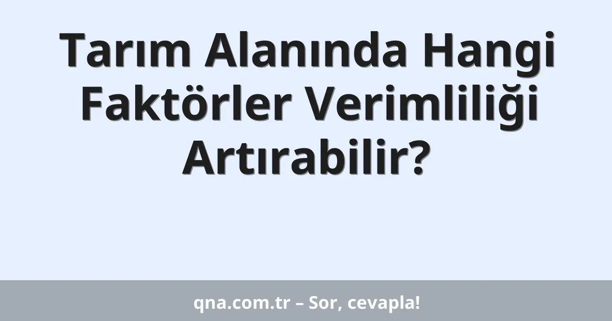 Tarım Alanında Hangi Faktörler Verimliliği Artırabilir?