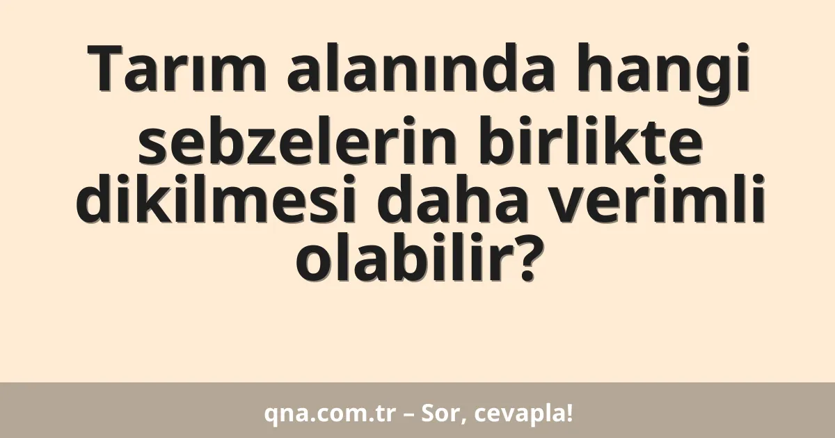 Tarım alanında hangi sebzelerin birlikte dikilmesi daha verimli olabilir?