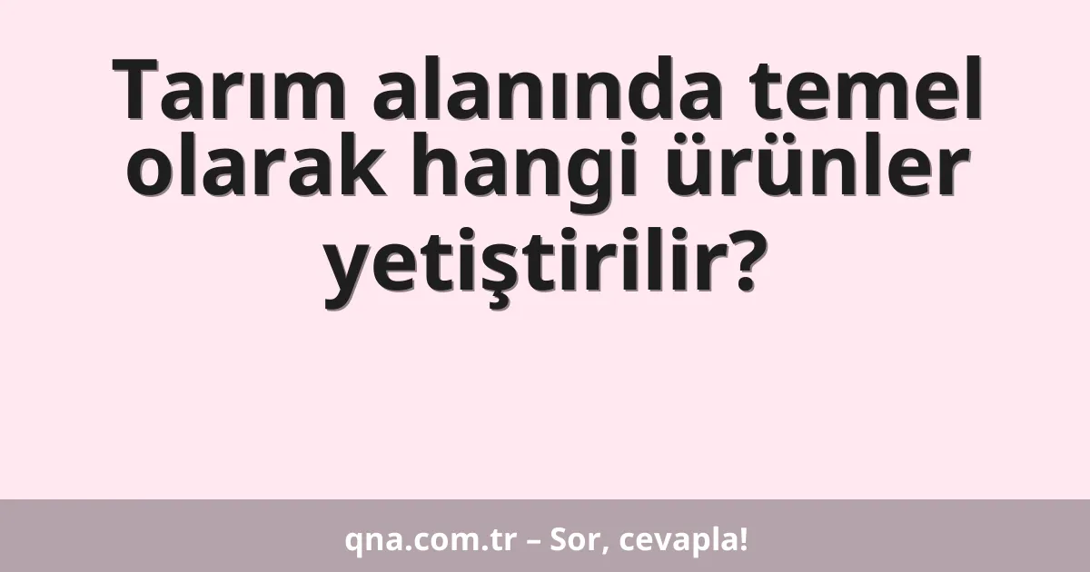 Tarım alanında temel olarak hangi ürünler yetiştirilir?