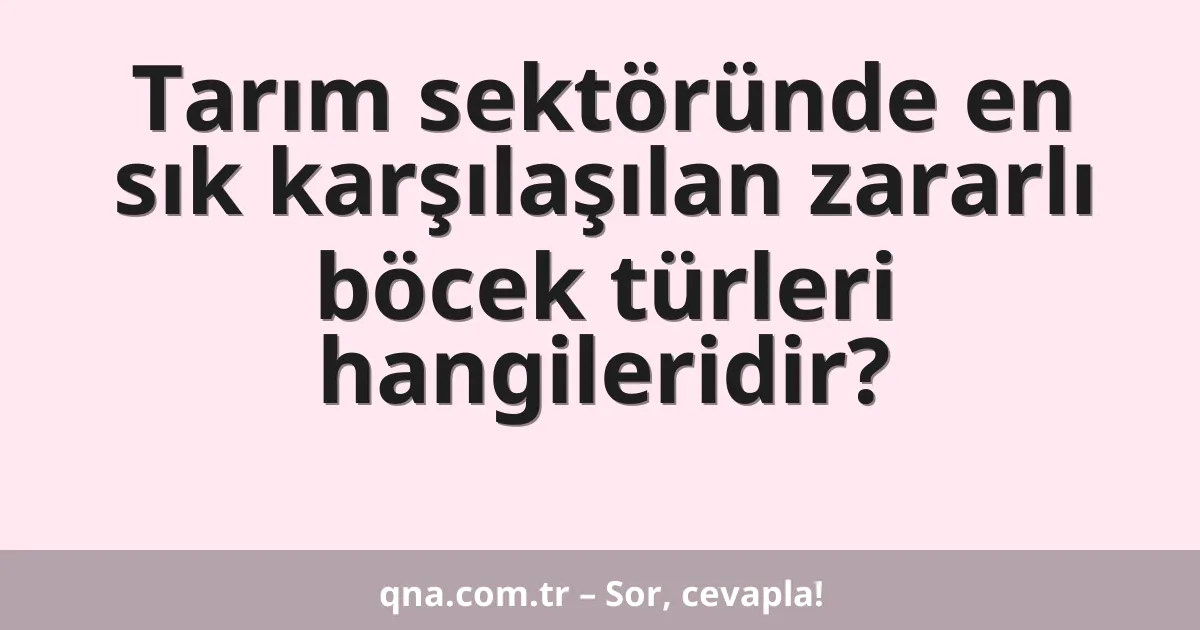 Tarım sektöründe en sık karşılaşılan zararlı böcek türleri hangileridir?
